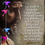 Daniel Bauman - @travelchefakdaniel1765 - Instagram