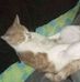Daniel Baumbach - Facebook