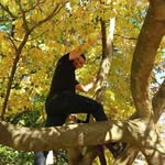 Daniel Baumbach - @baumi.db - Instagram
