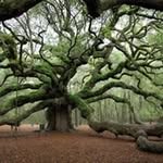 Daniel Baumbach - @djb161 - Instagram