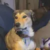 Danielle Bayless - @daniellebayless0392 - TikTok