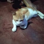 Daniel Bayon - Facebook