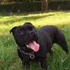 Daniel Bayon - @daniel.bayon2 - TikTok