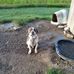 Daniel Bazan - Facebook
