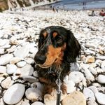 Daniel Beadle - @danielbeadle79 - Instagram