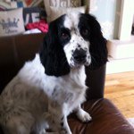 @danielbeadle - Instagram