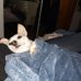 Daniel Beaudry - Facebook