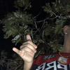 Daniel Beaudry - @danielbeaudry5547 - TikTok