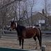 Daniel Beaudry - Facebook