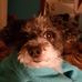 Daniel Beaudry - Facebook