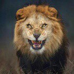 Daniel Beaven - @cyberdan888 - Instagram