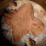 Daniel Beaver - @beaverdbaking - Instagram