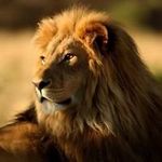Daniel M. Bedenbaugh - @danielbedenbaugh - Instagram