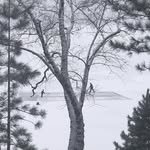 Daniel Bednarek - @daniel.bednarek.927 - Instagram