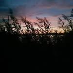 Daniel Bednarz - @bednarz2978 - Instagram
