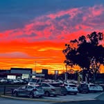 Daniel Bee - @daniels.auto.group - Instagram