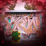 Daniel Beebe - @dtwobees2 - Instagram