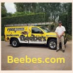 Daniel Beebe - @beebes.termite - Instagram