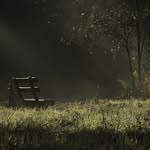 Daniel Beebe - @daniel.beebe24237 - Instagram