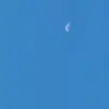 Daniel Beebe - @daniel.beebe - TikTok