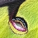 Daniel Beekman - @beekman_daniel - Instagram