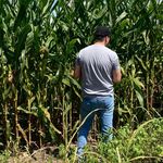 Daniel Beeler - @daniel_beeler_ - Instagram