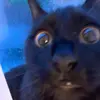 danielbeel1803 - @danielbeel1803 - TikTok