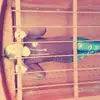 Danielle Beeman - @daniellebeeman1 - TikTok