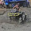 Daniel_beese - @daniel_beese - TikTok