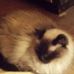 Daniel Begley - Facebook
