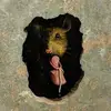 Daniel Behar Ribeiro - @danielbeharribeir - TikTok