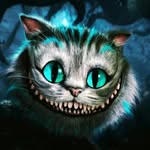 Daniel Behnke - @einfach_cat - Instagram