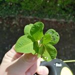 Daniel Steffi Apel - @behnke.daniel - Instagram