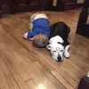 Danielle Behrens298 - @daniellebehrens3 - TikTok