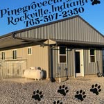 Daniel Beiler - @pinegrovecurlypaws - Instagram