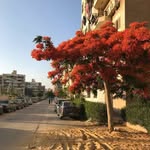DANIEL - @daniel_bekpalov - Instagram