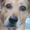Daniel Elbey - @daniel.elbey - TikTok