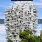 Dan Belesi - Facebook