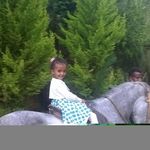Daniel Belew - @belew.daniel - Instagram