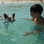 Daniel Belinsky - @danielbelinsky - Instagram