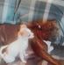 Daniel Bellamy - Facebook