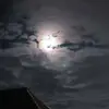 Daniel belleaua 925 - @daniel.belleaua.9 - TikTok