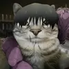 Daniel Bellington - @daniel.bellington - TikTok