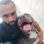 Daniel Bellucci - @daniel_bellucci - Instagram