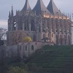Daniel Bence - @daniel.bence.184 - Instagram
