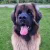 danielbennik - @danielbennik - TikTok