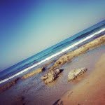Daniel Benor - @danielbenur13 - Instagram