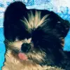 danielberends - @daniel00k - TikTok