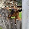 Daniel34 - @daniel.berkmann - TikTok