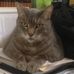 Daniel Berkman - Facebook